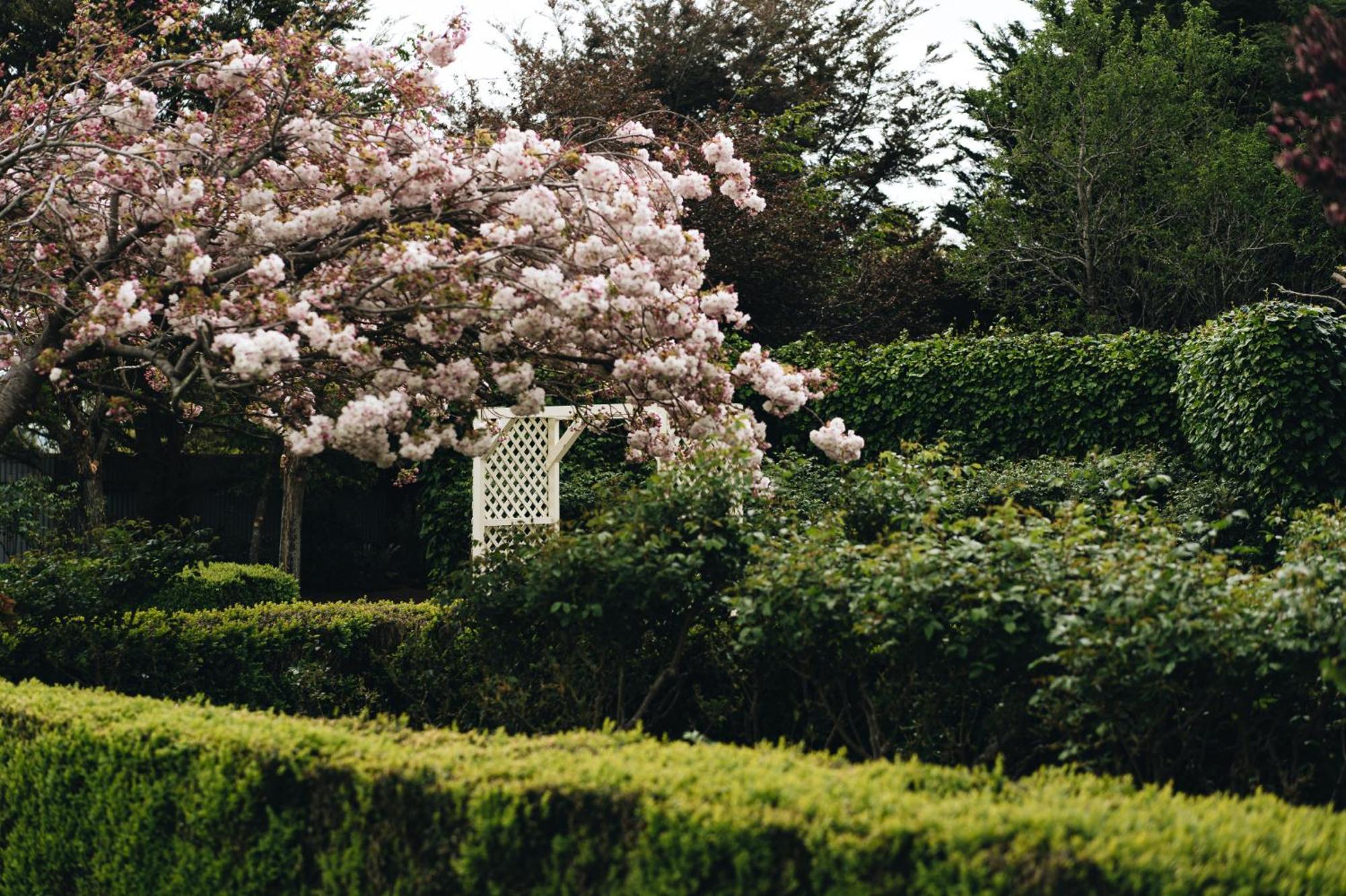 Brackenridge Country Retreat & Spa Martinborough Exterior foto