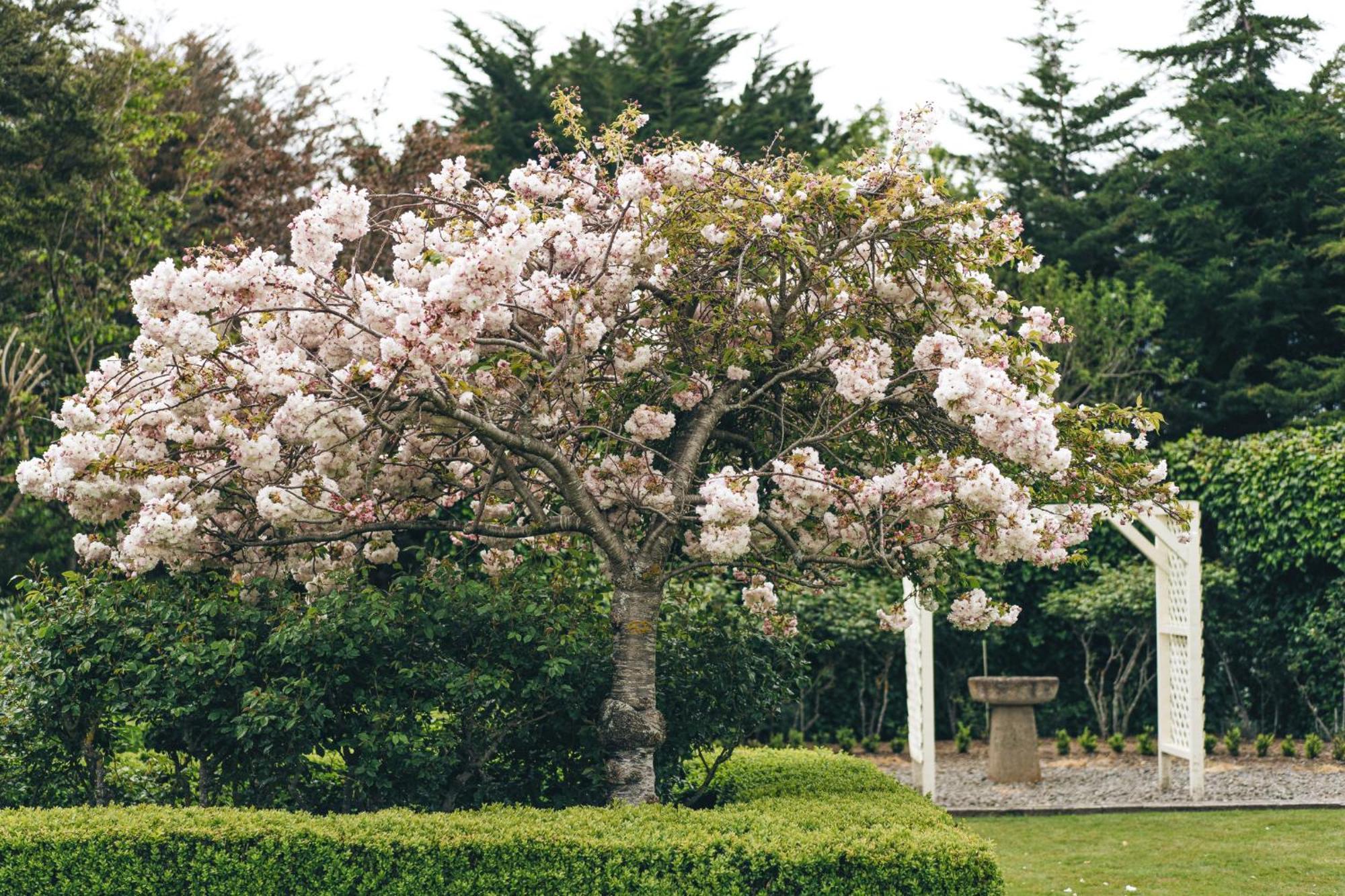 Brackenridge Country Retreat & Spa Martinborough Exterior foto