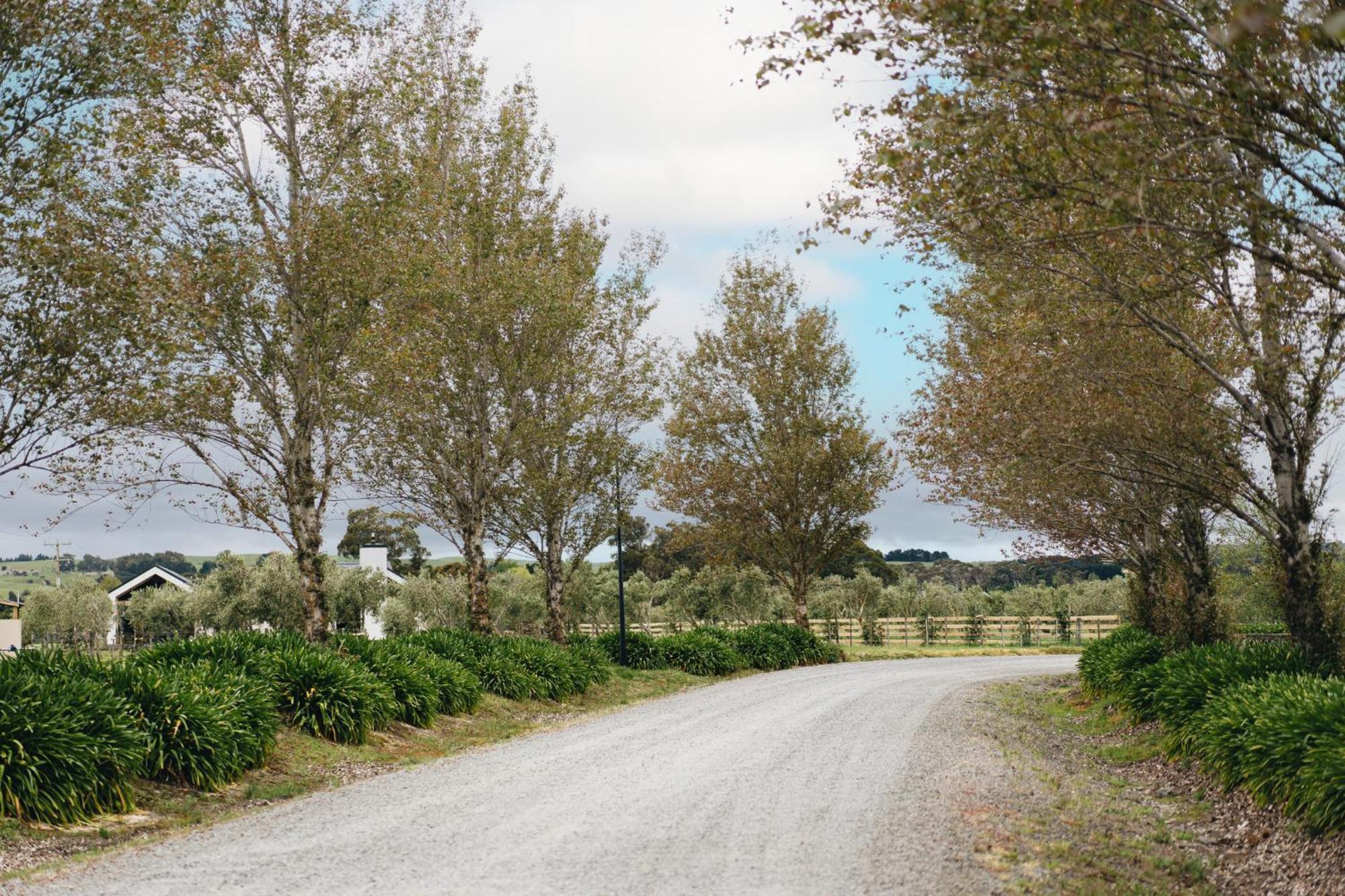Brackenridge Country Retreat & Spa Martinborough Exterior foto